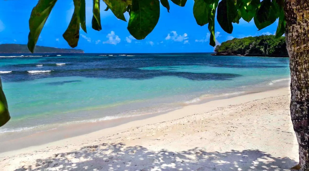 Villa Flamboyan Las Galeras